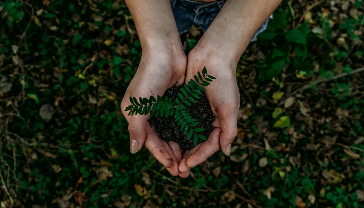 Derecho Ambiental en Honduras: Licencias, Delitos
