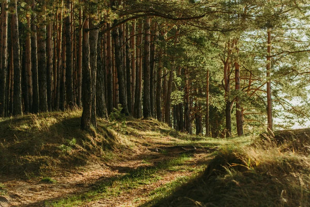 Licencia Ambiental en Honduras