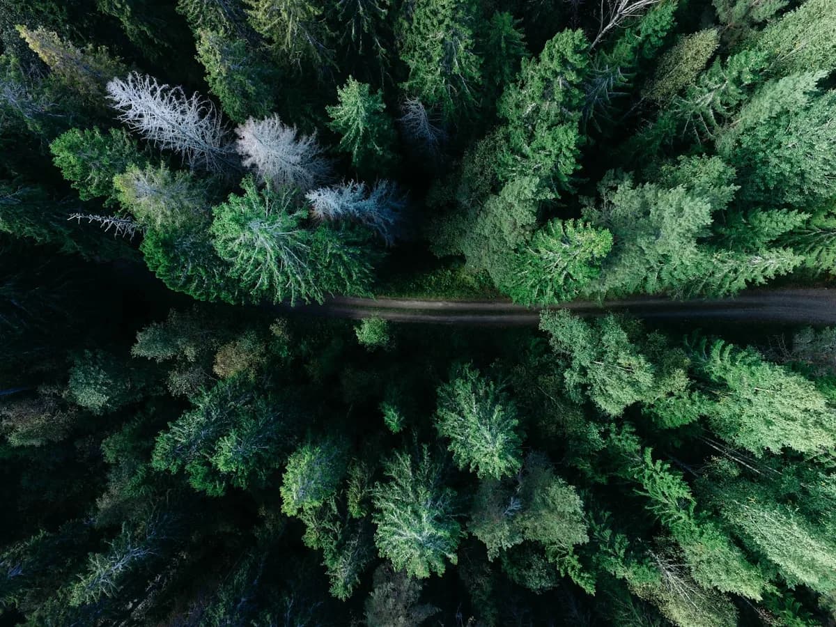 Derecho Ambiental y Regulatorio